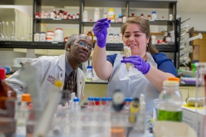 Research Job Opportunities Research Job Opportunities